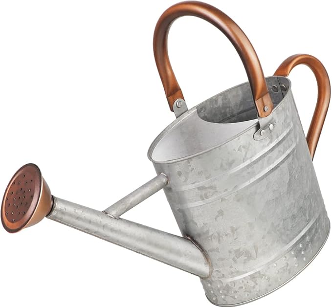 1 Gallon Metal Watering Can with Removable Spout Nice Galvanized Steel Water Can with Embossed Design for Indoor and Outdoor Plants