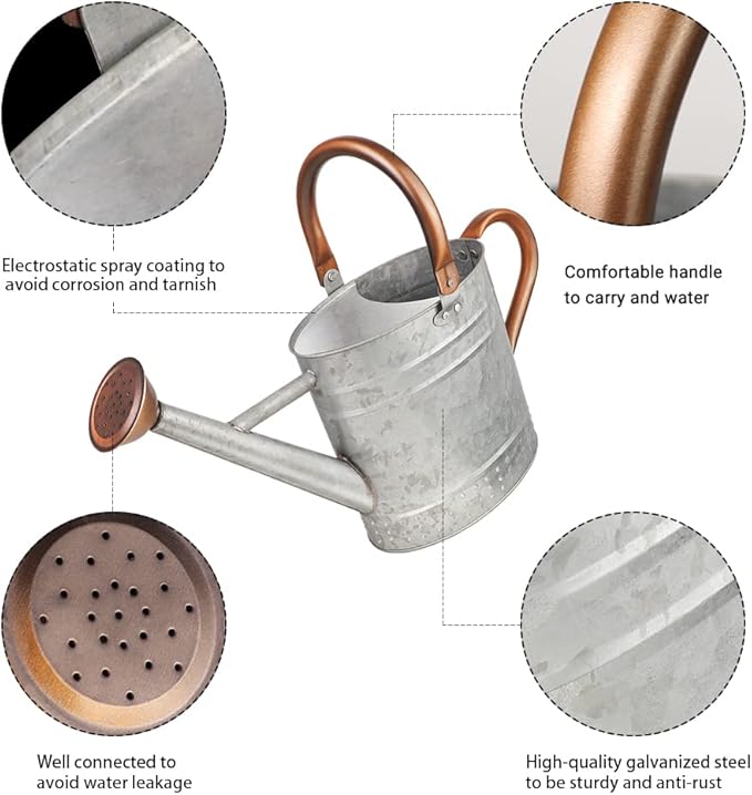 1 Gallon Metal Watering Can with Removable Spout Nice Galvanized Steel Water Can with Embossed Design for Indoor and Outdoor Plants