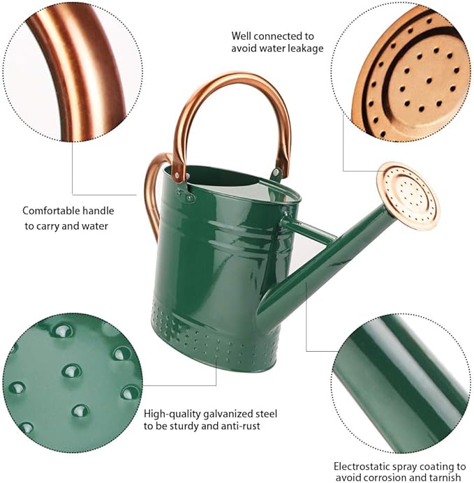 1 Gallon Metal Watering Can with Removable Spout Nice Galvanized Steel Water Can with Embossed Design for Indoor and Outdoor Plants