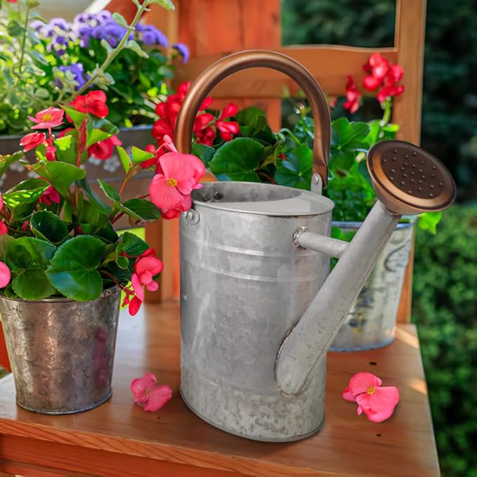 1 Gallon Metal Watering Can with Removable Spout Nice Galvanized Steel Water Can with Embossed Design for Indoor and Outdoor Plants