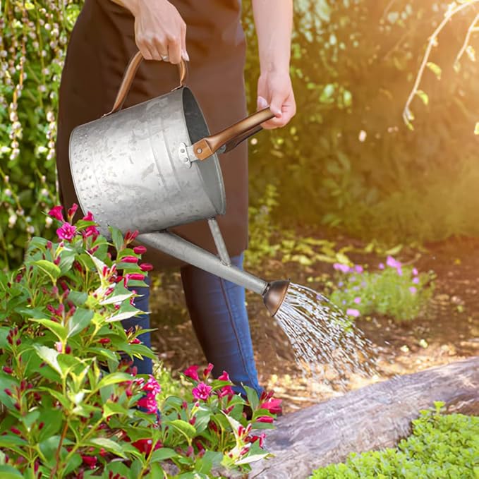 1 Gallon Metal Watering Can with Removable Spout Nice Galvanized Steel Water Can with Embossed Design for Indoor and Outdoor Plants
