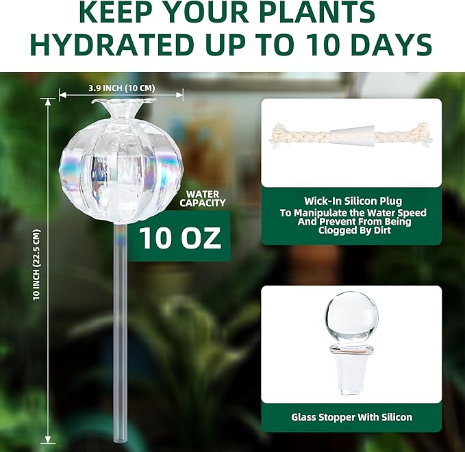 10 oz Large Top Fill Cactus Plant Self Watering Globes Light Iridescent Glass Water Bulbs Slow Release Watering Devices System Indoor | Outdoor Everyday Use Water Spikes Stakes 2 Pack
